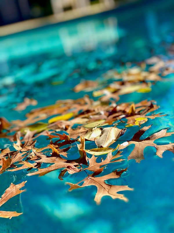 What are the best methods for dealing with leaves and debris in an outdoor UK pool?